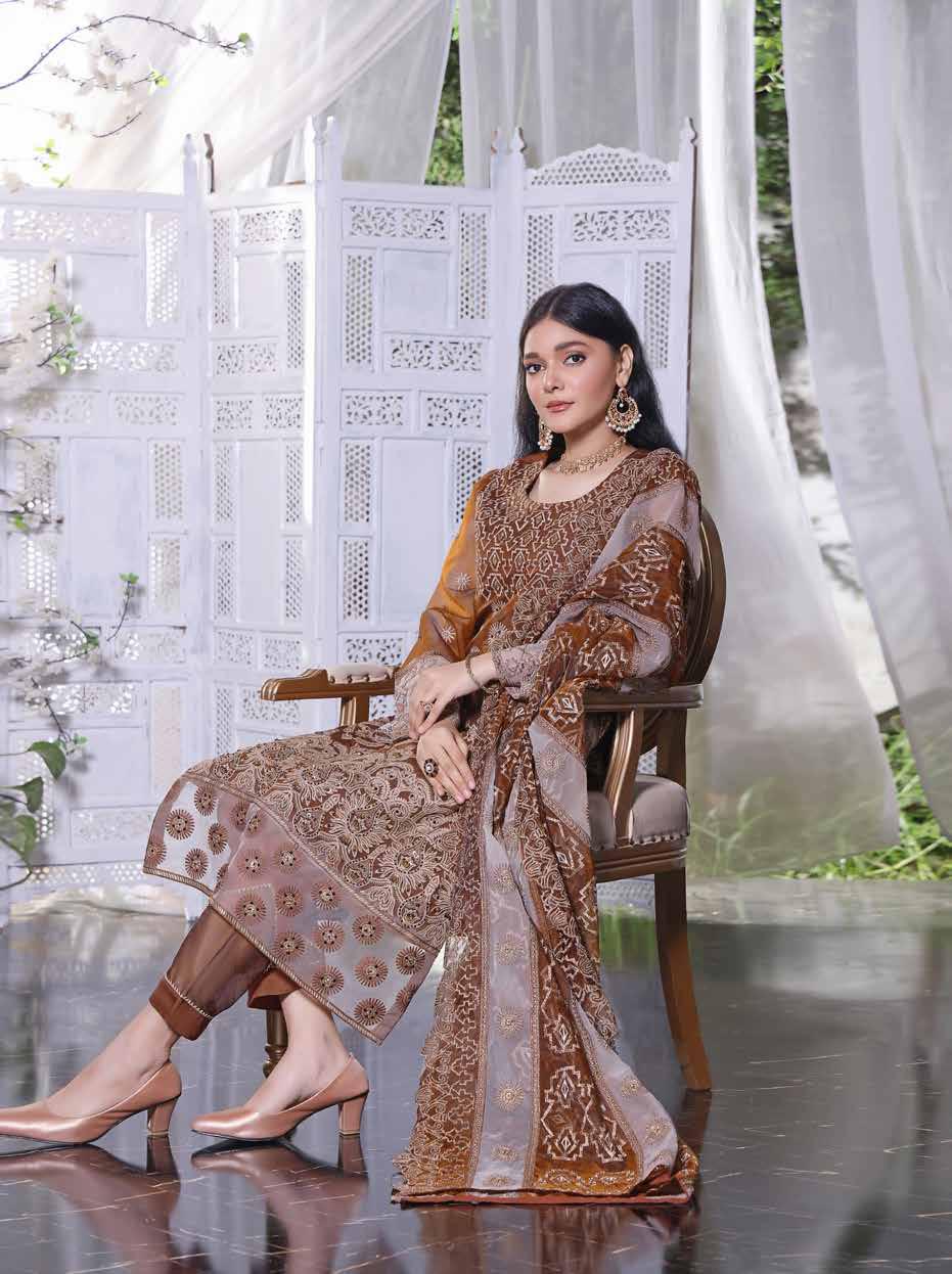 Alina luxury Orgamza Embroidered Unstitched  | NMM-1990