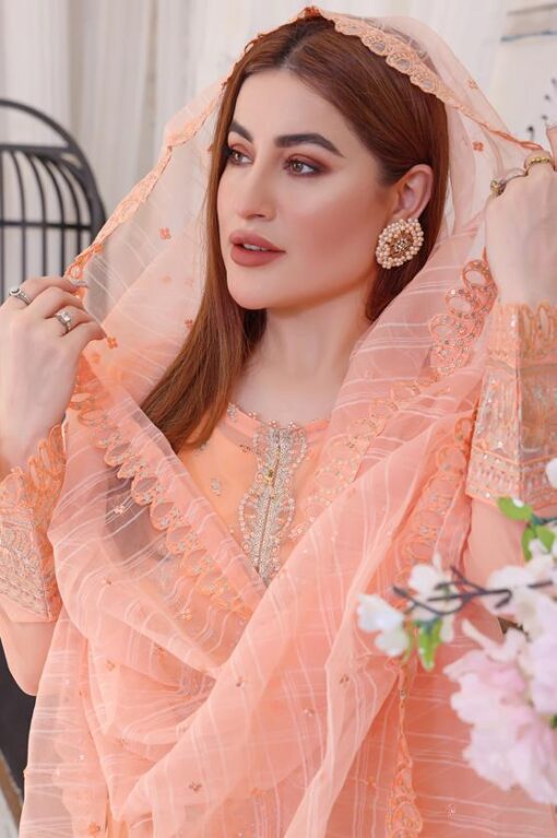 Sehra's Chiffon Embroidered | Unstitched Peach (𝟎𝟏 𝐥𝐞𝐟𝐭 𝐨𝐧𝐥𝐲)