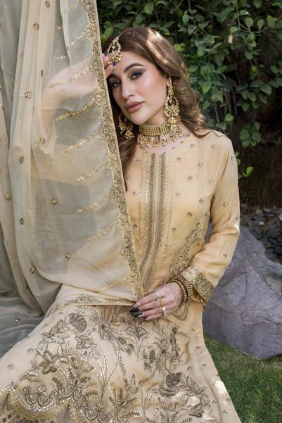 Formal Chiffon Embroidered | Unstitched (𝟎𝟏 𝐥𝐞𝐟𝐭 𝐨𝐧𝐥𝐲)