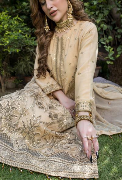 Formal Chiffon Embroidered | Unstitched (𝟎𝟏 𝐥𝐞𝐟𝐭 𝐨𝐧𝐥𝐲)