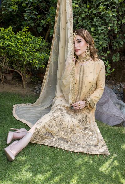 Formal Chiffon Embroidered | Unstitched (𝟎𝟏 𝐥𝐞𝐟𝐭 𝐨𝐧𝐥𝐲)