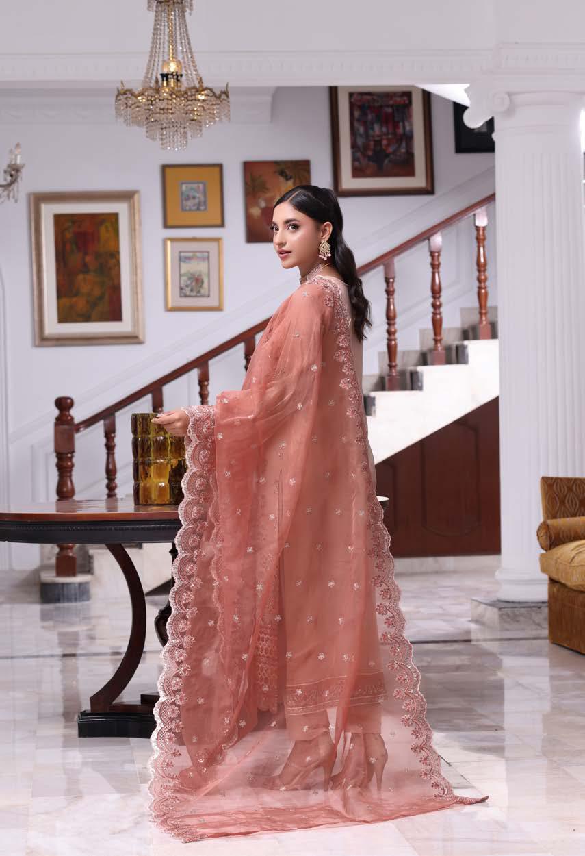 ANZ-2014 Exclusive Chiffon Embroidered | Unstitched Peach
